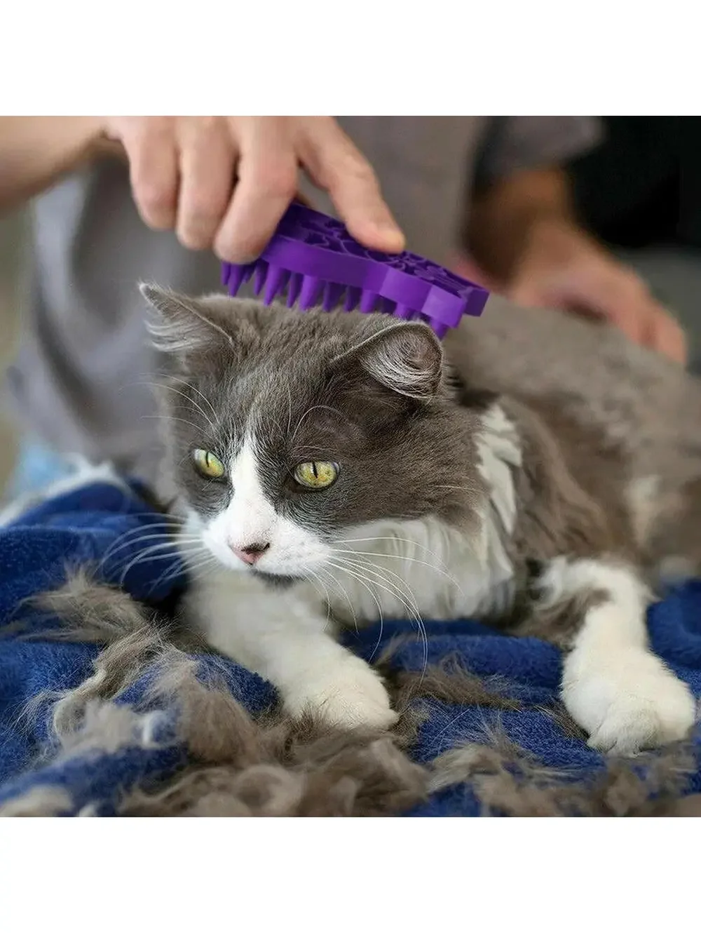 Kong ZoomGroom Rubber Wet or Dry Cat Brush Groomer Small